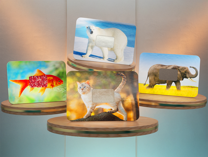 Touchimals Tactile Cards