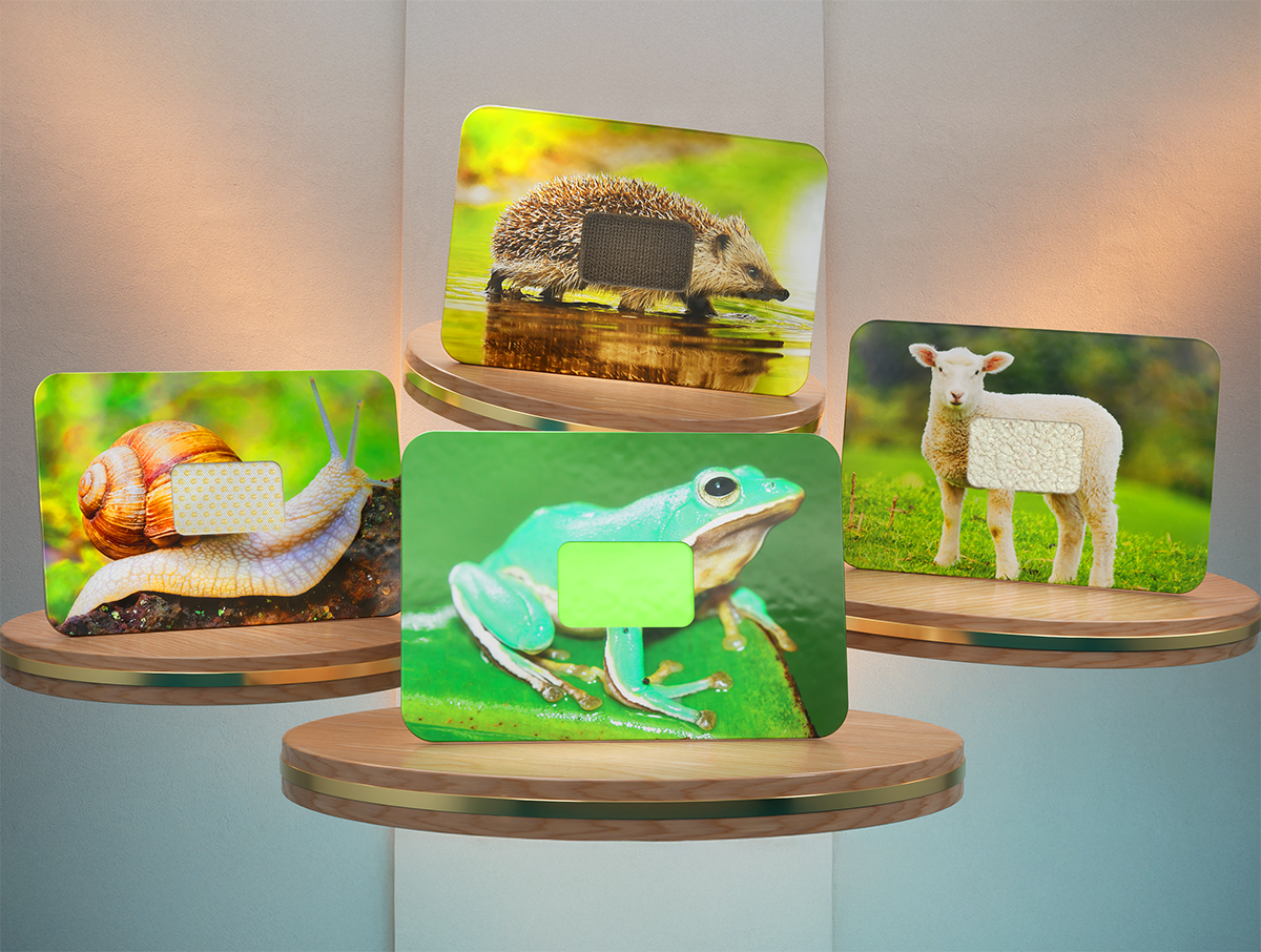 Touchimals Tactile Cards